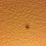 Americas Best Value Inn - roaches and bed bugs - Photo 4