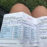 Ford - unethical behavior/ passing inspections - Photo 1