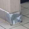 Burger King - disrespectful staff and condition of restaurant - Photo 3