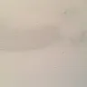 Dulux Paints - matt emulation paint - Photo 3