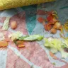 Taco Bell - food, customer service, manager - Photo 1