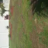 Lawn Doctor - lawn services - Photo 1