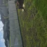 Lawn Doctor - lawn services - Photo 2