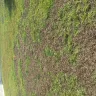 Lawn Doctor - lawn services - Photo 3