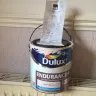 Dulux Paints - dulux endurance mellow mocha