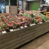 Woolworths - plastic pre-packaging of fresh fruit and vegetables
