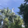 Florida Power & Light [FPL] - continuous power outages