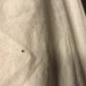 Red Roof Inn - dirty, bug infested room