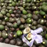 Coles Supermarkets Australia - avocado