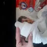Huggies - huggies dry comfort - Photo 3