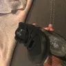 UnderArmour - product defect: ua curry 3 crib - size 3.5 - Photo 3