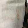 Americas Best Value Inn - condition of room and manager - Photo 4