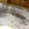 Motel 6 - everything - Photo 4