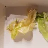 Dairy Queen - food especially turkey sandwich - Photo 4