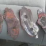 Midas - brakes - Photo 1