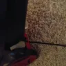 Hoover - hoover power scrub elite pet carpet cleaner (fh50251) - Photo 1