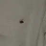 Americas Best Value Inn - hotel - Photo 2