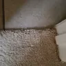 Home Depot - carpet - Photo 1
