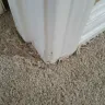 Home Depot - carpet - Photo 2