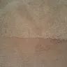 Home Depot - carpet - Photo 3