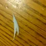 Huggies - dried up plastic piece of diaper that stabbed my son in his genitals - Photo 2