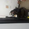 Dollar General - dollar general manager and employees - Photo 1