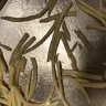 Wegmans Food Markets - wegmans organic spaghetti and linguine - Photo 2