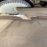 Canada Post - shipment destroyed two paintings - Photo 2