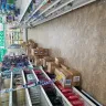Dollar Tree - I am complaining about the store appearance. - Photo 4