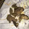 Taco Bell - shredded chicken tacos - Photo 1