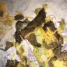 Taco Bell - shredded chicken tacos - Photo 2