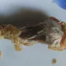 KFC - food taste and packing