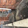 DTE Energy - unauthorized access to my properties, open way/asphalt & unprofessional repair works for 2 years now - Photo 4