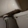 Motel 6 - cleanliness of room - Photo 3