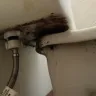 Motel 6 - cleanliness of room - Photo 6