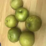 Asda Stores - rejected apples - Photo 1