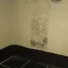Americas Best Value Inn - black mold in bathroom - Photo 1