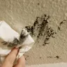 Americas Best Value Inn - hygiene - Photo 1