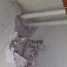 NYC Housing Authority [NYCHA] - nyc housing - Photo 10