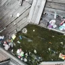 NYC Housing Authority [NYCHA] - nyc housing - Photo 11
