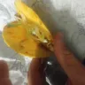 Taco Bell - quality of food - Photo 2