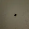 Travelodge - hotel room - Photo 4