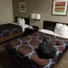 Travelodge - hotel room