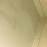 Americas Best Value Inn - room has buns in the bedding and rate was supposed to be 46 dollars a night but was charged 69 dollars - Photo 3