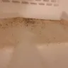 Days Inn - black mold in my bathroom - Photo 2