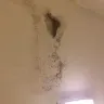 Days Inn - black mold in my bathroom - Photo 5