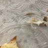 Panera Bread - sandwich with plastic piece - Photo 2