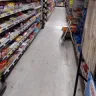 Dollar General - store appearance and cleanliness