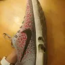 Nike - tekkies - Photo 2