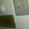 Days Inn - hazardous waste and poor service - Photo 10